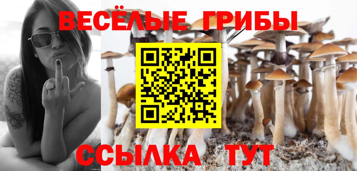 Галлюциногенные грибы Cubensis Туймазы